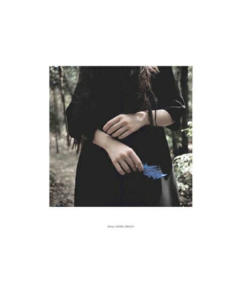 Palm maison lite. 002