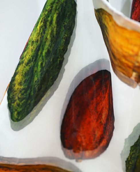 macromauro マクロマウロ.Cacaoman toto [LL]_