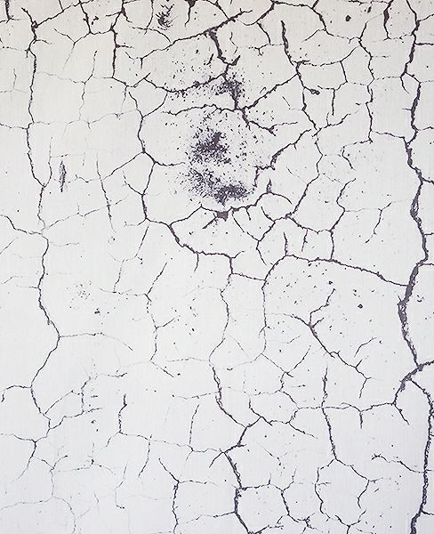 KAGARI YUSUKE.壁布[東京/東神田]