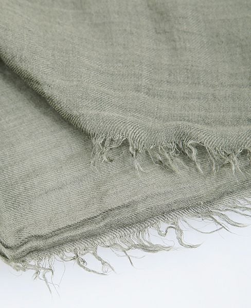 Faliero Sarti.Azzurra[57328]