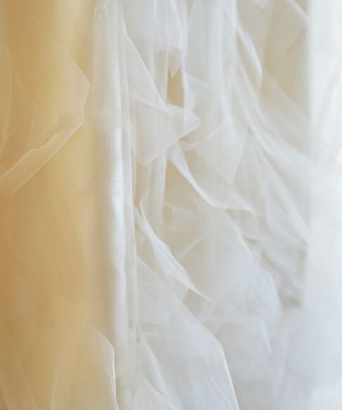 Palm wedding rental.hoshi PIGEON(ピジョン)