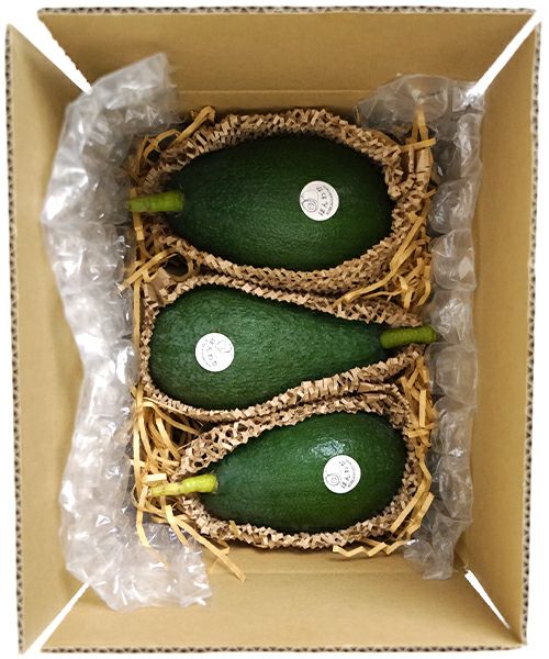 ほんわかアボカド 国産アボカド ベーコンなど各種 KOBE avocado farm